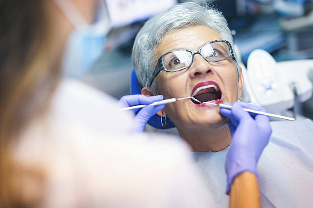 Professional Holistic Dental Care Services in Hawthorn Woods, IL